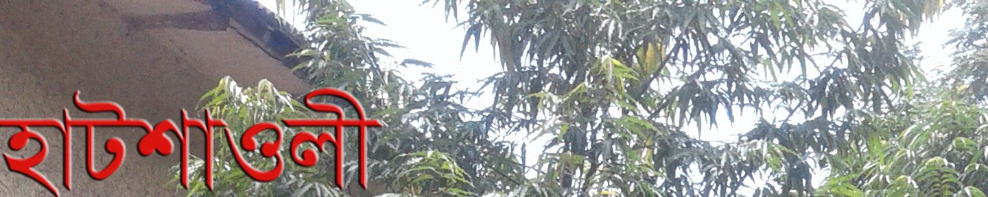 গ্রামের-আলো
